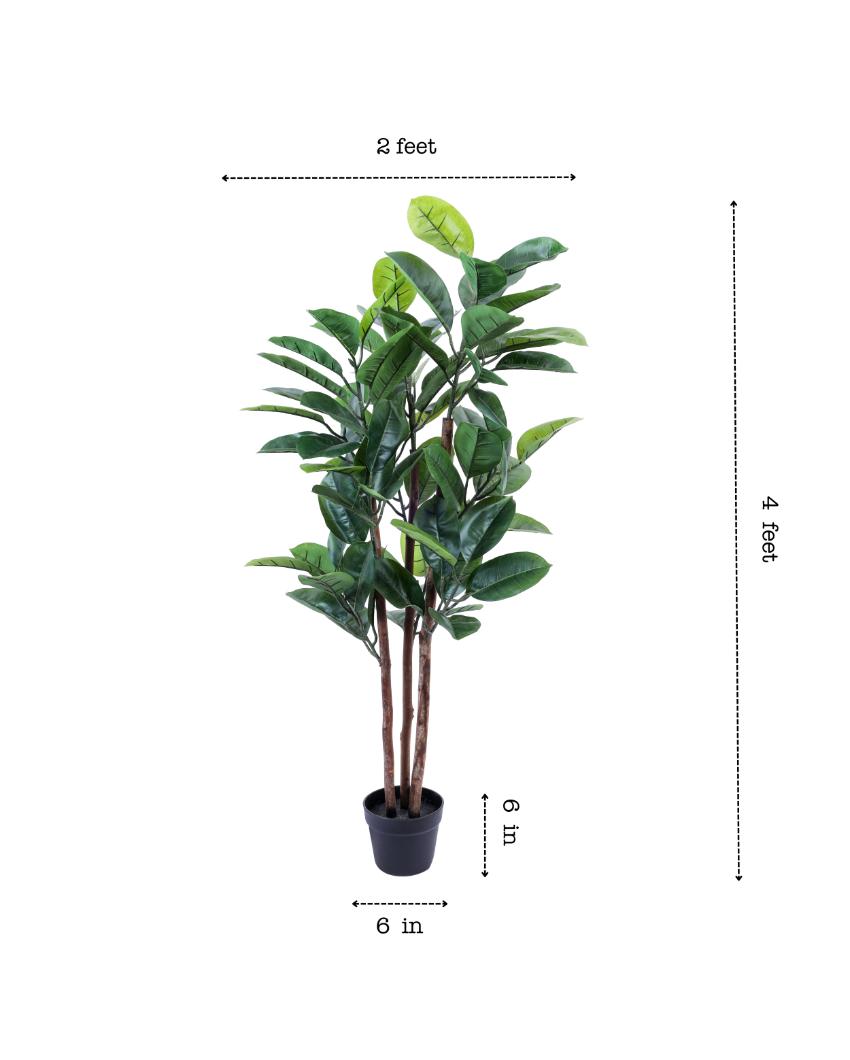 Timeless Artificial Rubber Tree with Black Pot