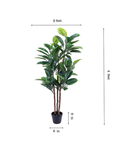 Timeless Artificial Rubber Tree with Black Pot