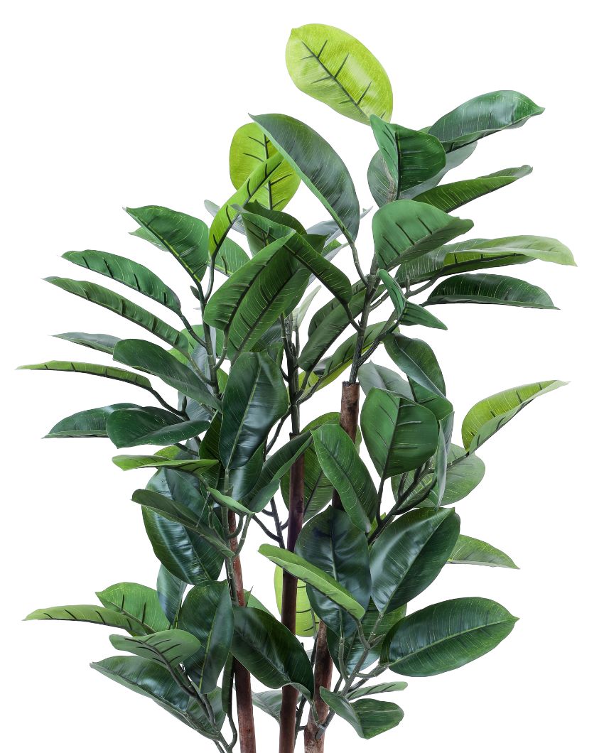 Timeless Artificial Rubber Tree with Black Pot