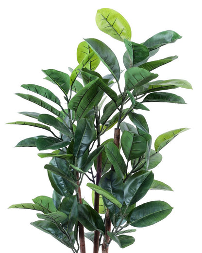 Timeless Artificial Rubber Tree with Black Pot