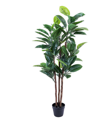 Timeless Artificial Rubber Tree with Black Pot