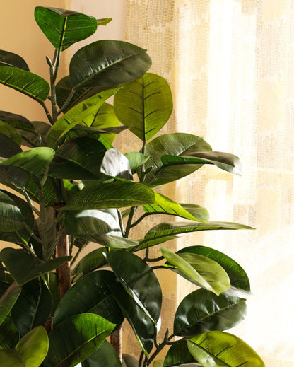 Timeless Artificial Rubber Tree with Black Pot