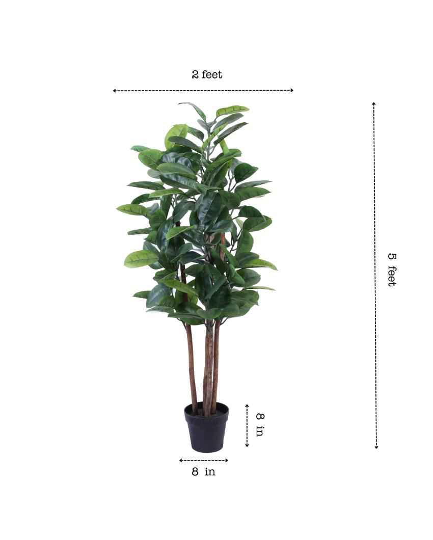 Timeless Artificial Rubber Tree with Black Pot