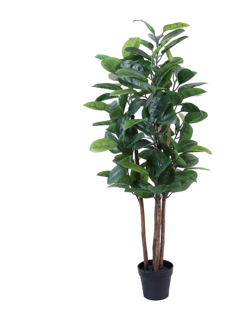 Timeless Artificial Rubber Tree with Black Pot