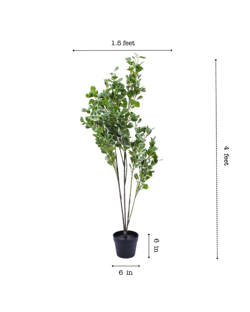 Decorative Artificial Schefflara Plant with Black Pot | 4 Feet