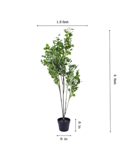 Decorative Artificial Schefflara Plant with Black Pot | 4 Feet