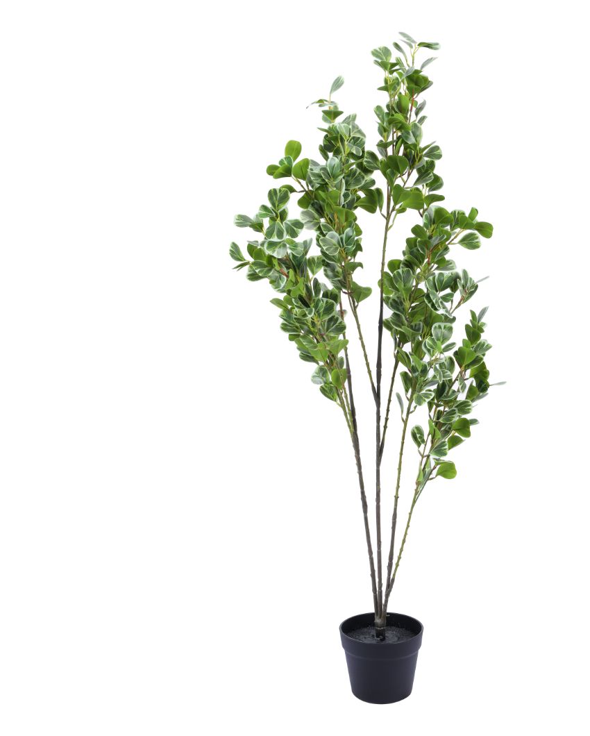 Decorative Artificial Schefflara Plant with Black Pot | 4 Feet