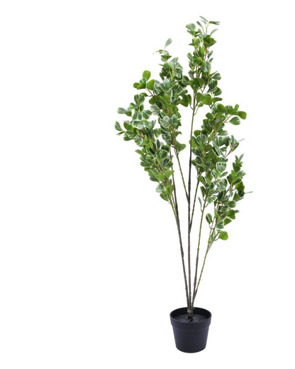 Decorative Artificial Schefflara Plant with Black Pot | 4 Feet