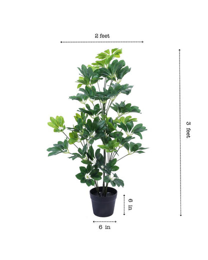 Exquisite Artificial Schefflara Plant with Black Pot | 3 Feet