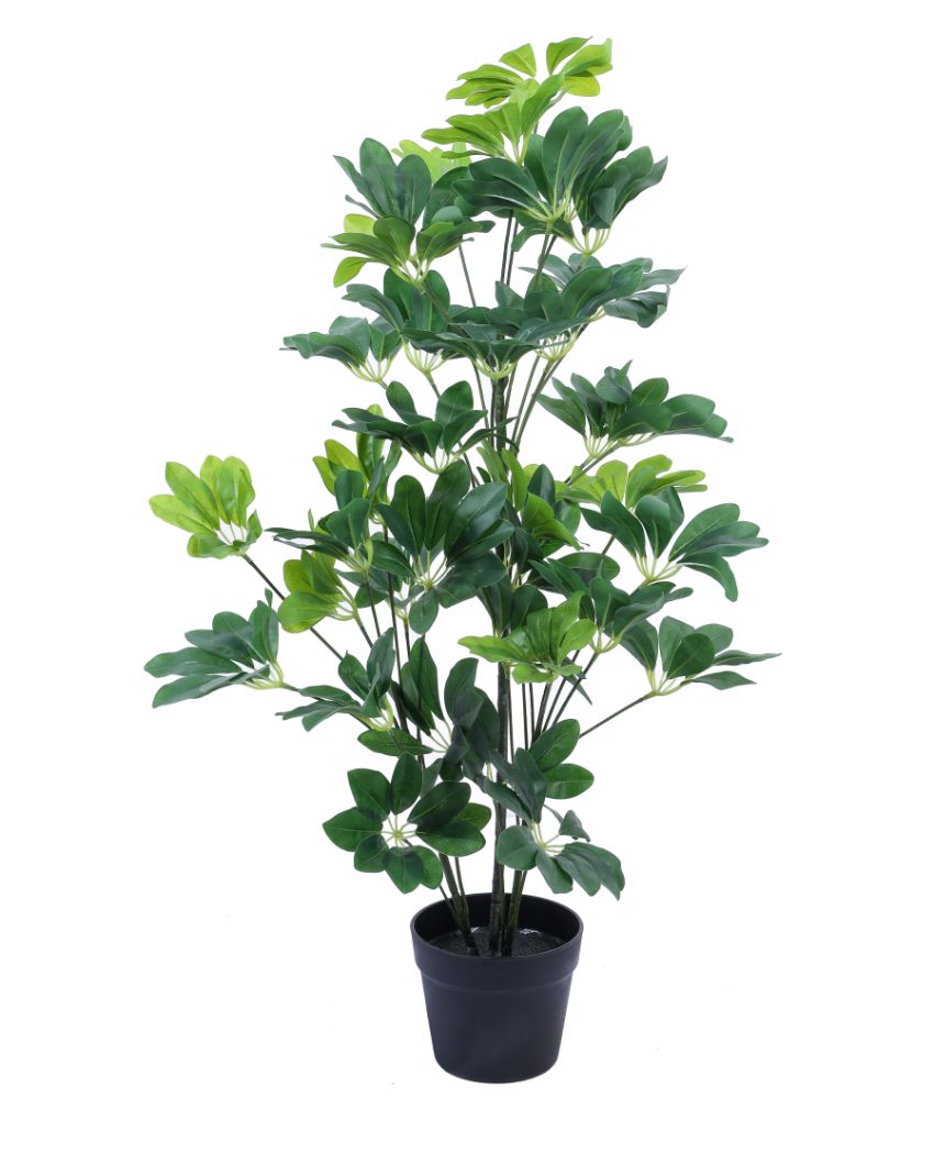 Exquisite Artificial Schefflara Plant with Black Pot | 3 Feet