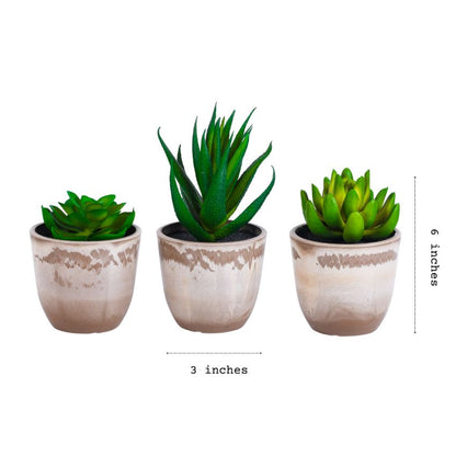 Realistic Artificial Succulent Potted Plant | Set of 3