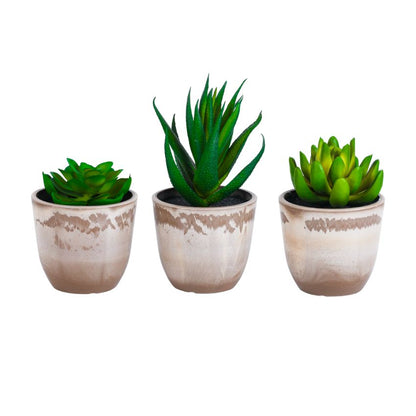 Realistic Artificial Succulent Potted Plant | Set of 3