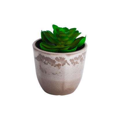 Realistic Artificial Succulent Potted Plant | Set of 3