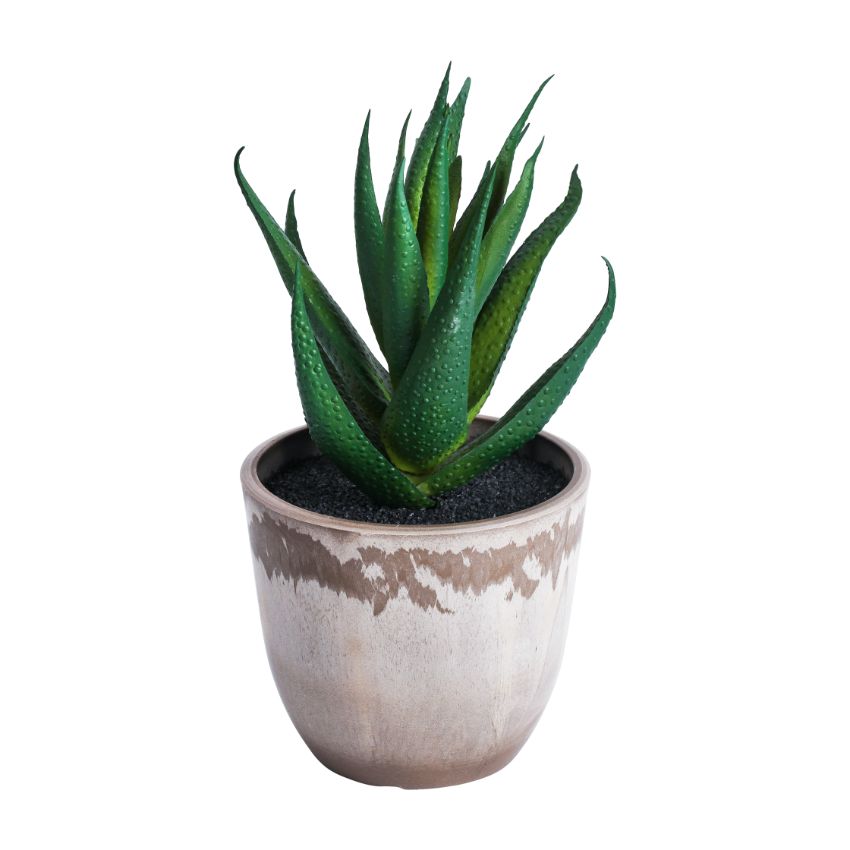 Realistic Artificial Succulent Potted Plant | Set of 3