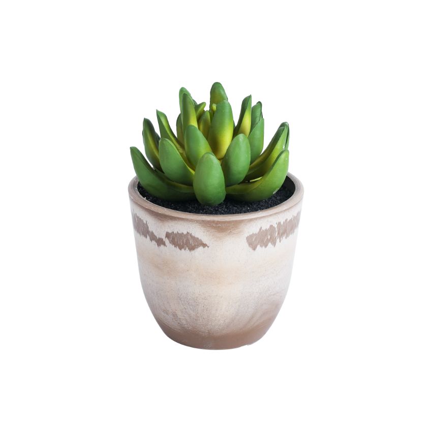 Realistic Artificial Succulent Potted Plant | Set of 3