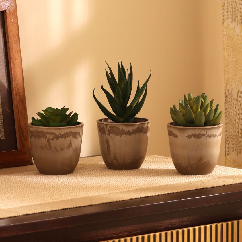 Realistic Artificial Succulent Potted Plant | Set of 3