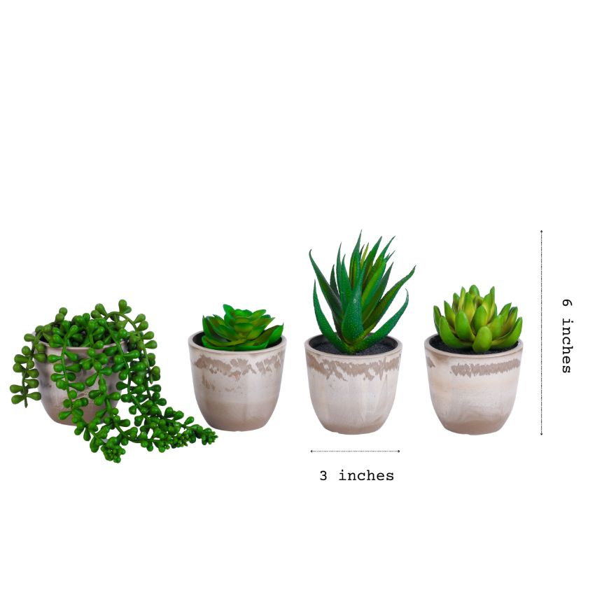 Artificial Potted Succulents Plant | Set of 4