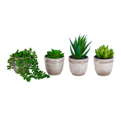 Artificial Potted Succulents Plant | Set of 4