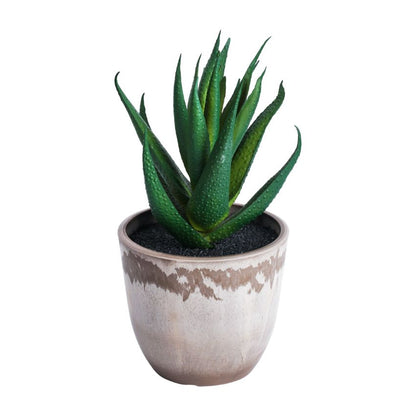 Artificial Potted Succulents Plant | Set of 4