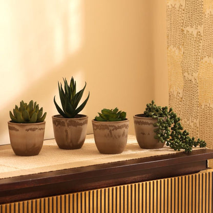 Artificial Potted Succulents Plant | Set of 4