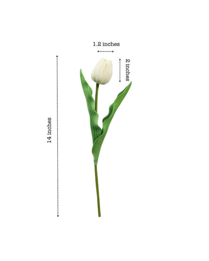 Functional Artificial Tulip Flower 5 Sticks Without Pot | 14 inches