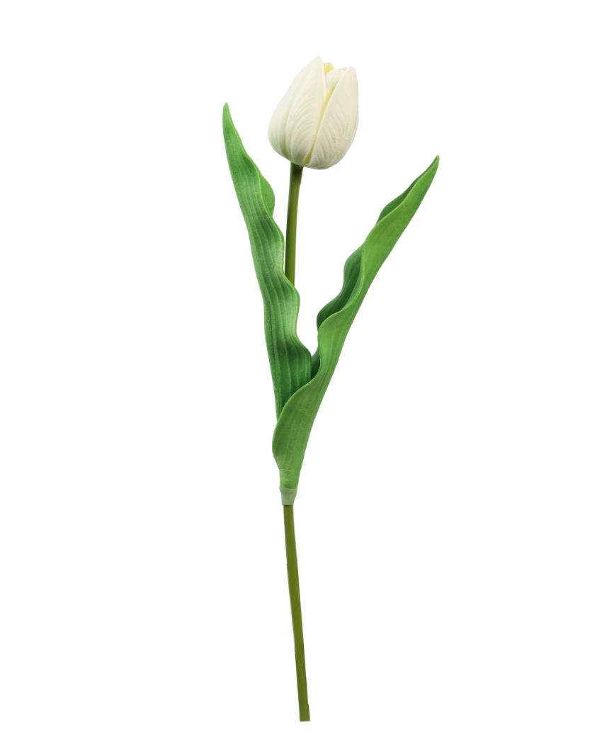 Functional Artificial Tulip Flower 5 Sticks Without Pot | 1 feet