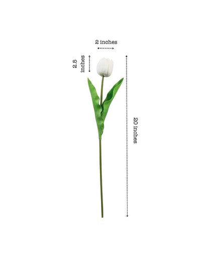 Simple Artificial Tulip Flower 5 Sticks Without Pot | 20 inches