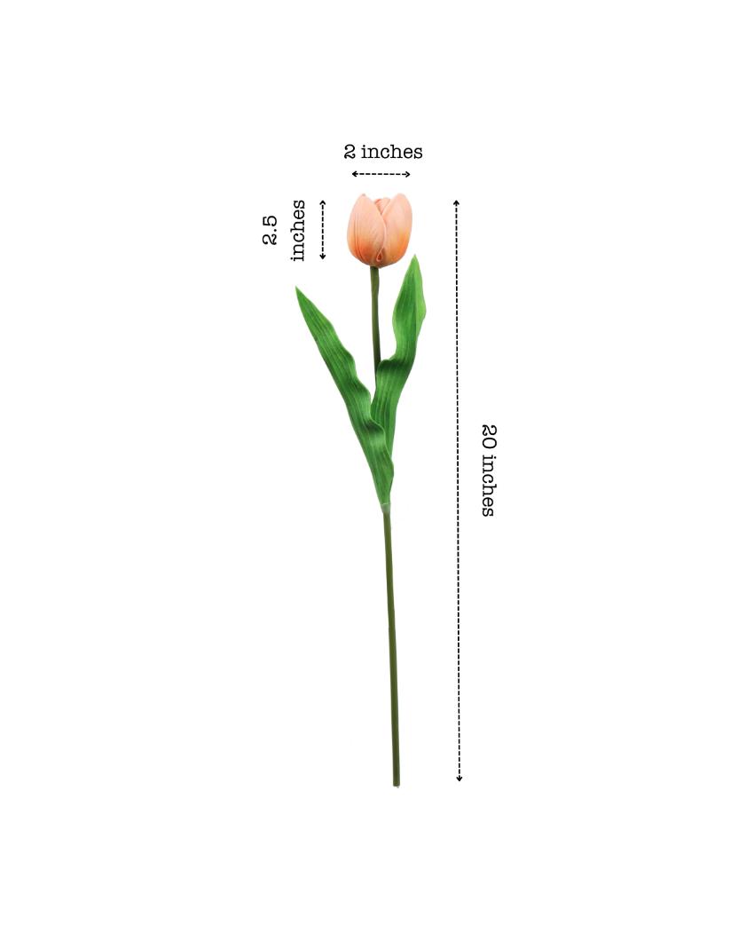 Simple Artificial Tulip Flower 5 Sticks Without Pot | 20 inches