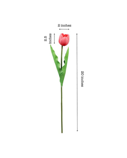 Simple Artificial Tulip Flower 5 Sticks Without Pot | 20 inches