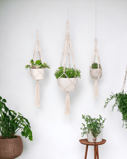 Artisanal Knot Pattern Rope Plant Hangers | Set of 3