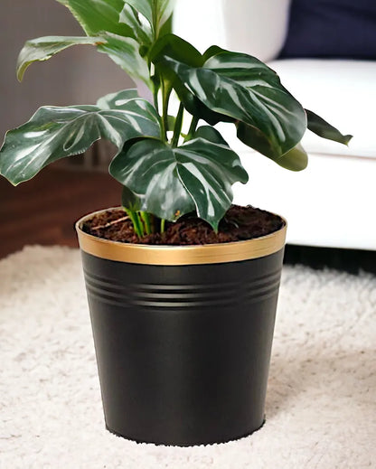 Bucket Metal Planters | Set of 3