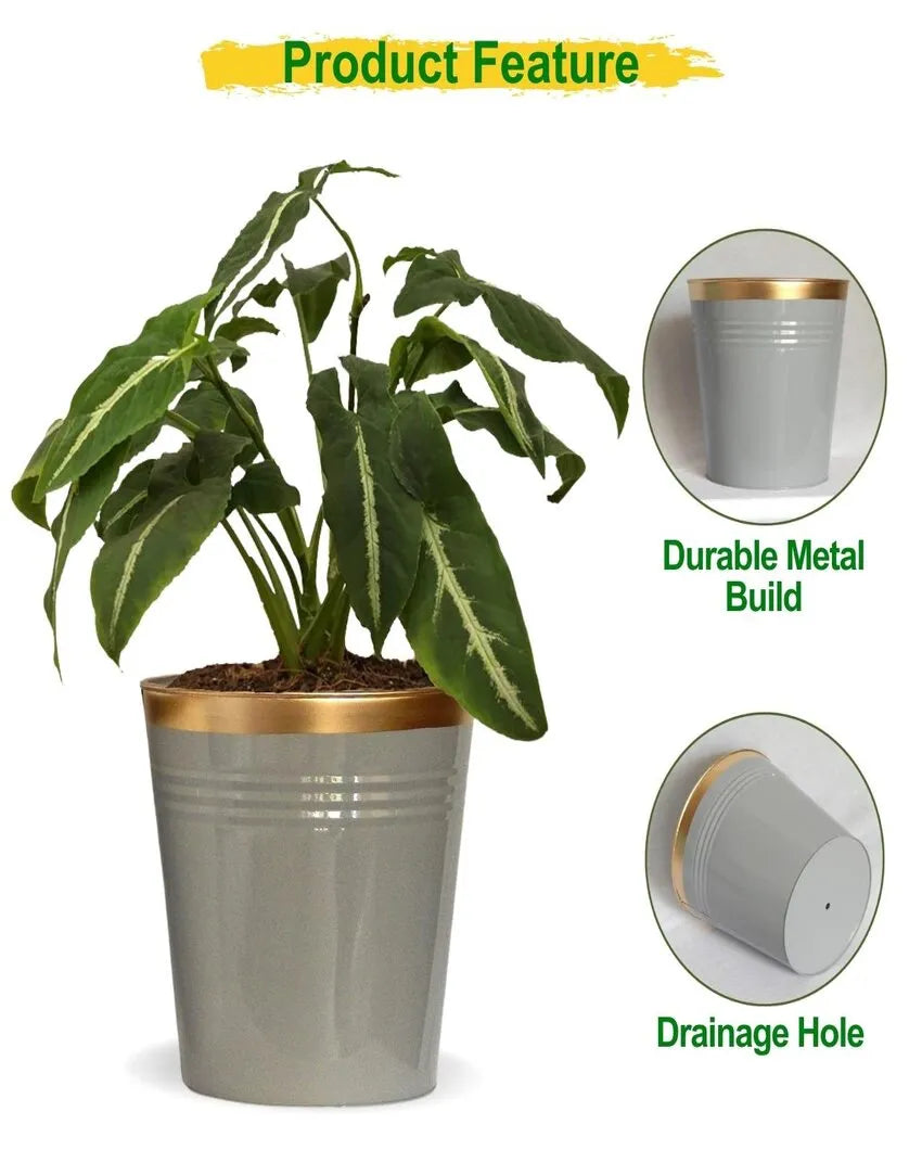 Bucket Metal Planters | Set of 3