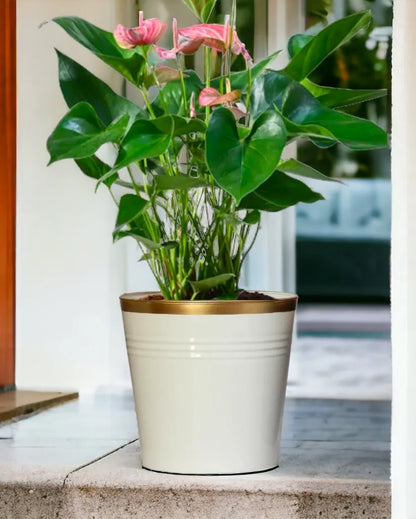 Bucket Metal Planters | Set of 3