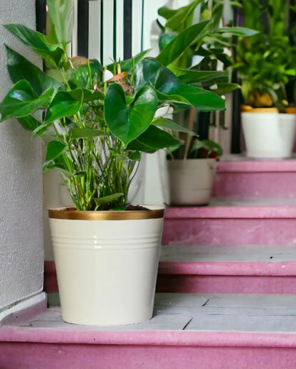 Bucket Metal Planters | Set of 3