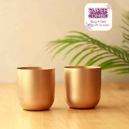 The Aurum Gold Metal Plant Pots | Set of 2 | 5 x 5 inches