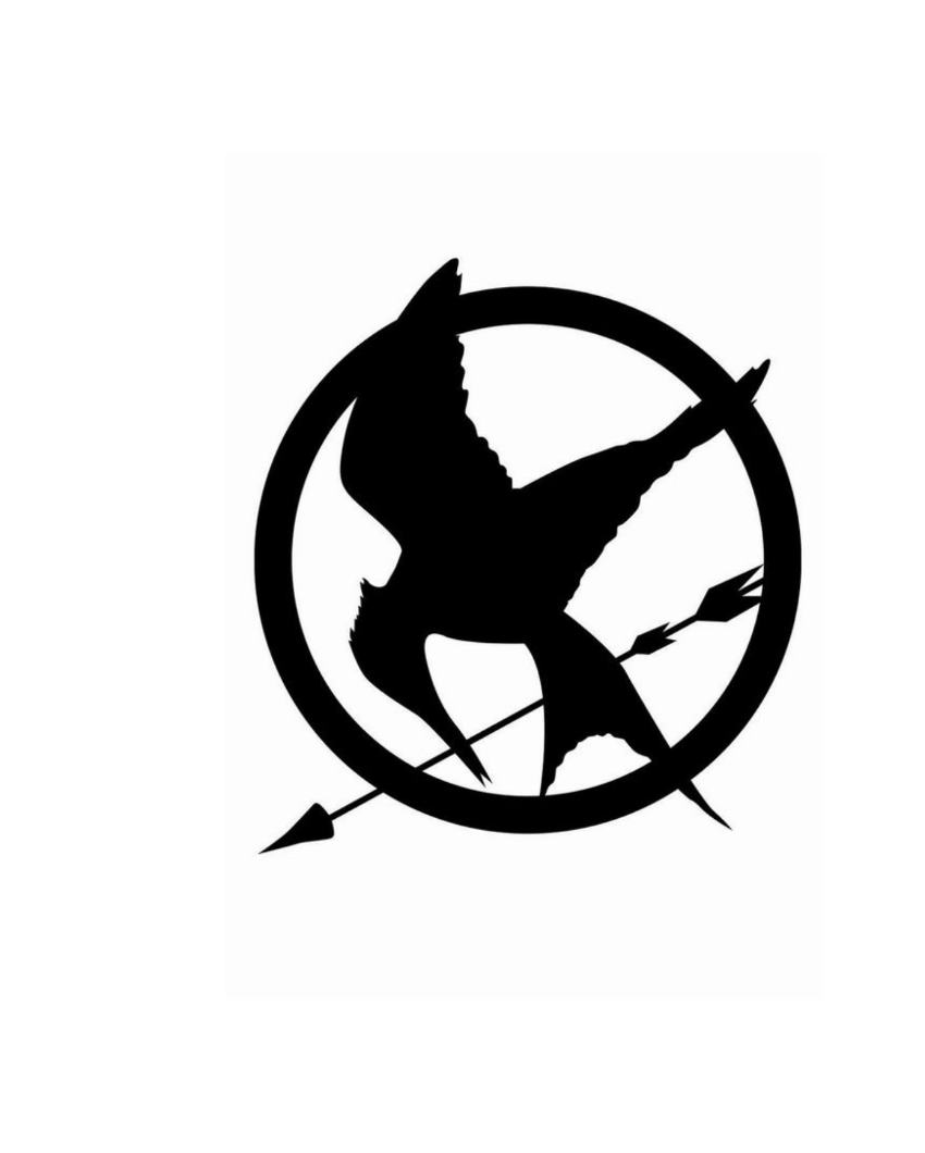 Hunger GamesIron Wall Hanging Décor