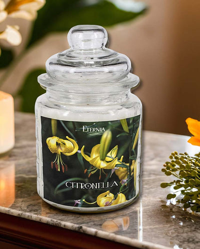 Refreshing and Timeless Look for Any Space Glass Jar Candles | 4 x 6 inches