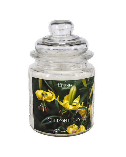 Refreshing and Timeless Look for Any Space Glass Jar Candles | 4 x 6 inches