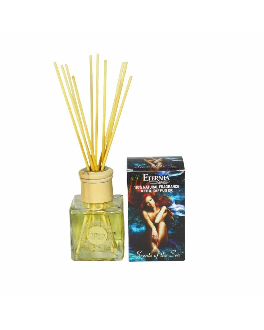 Elegant Aroma Scent of The Seas Reed Diffuser With Ten Sticks | 4 x 2 x 4 inches