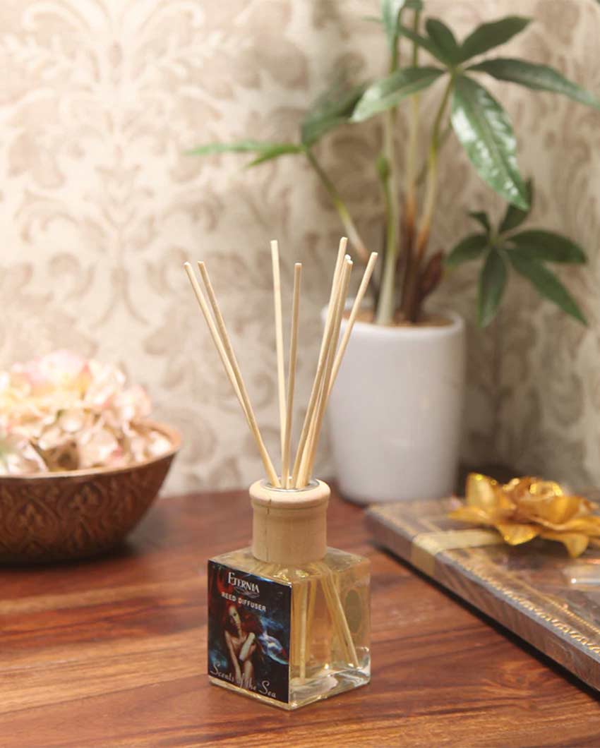 Elegant Aroma Scent of The Seas Reed Diffuser With Ten Sticks | 4 x 2 x 4 inches