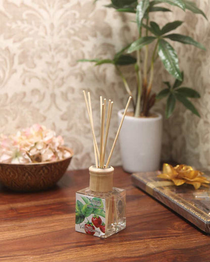 Elegant Aroma Very Berry Reed Diffuser With Ten Sticks | 4 x 2 x 4 inches