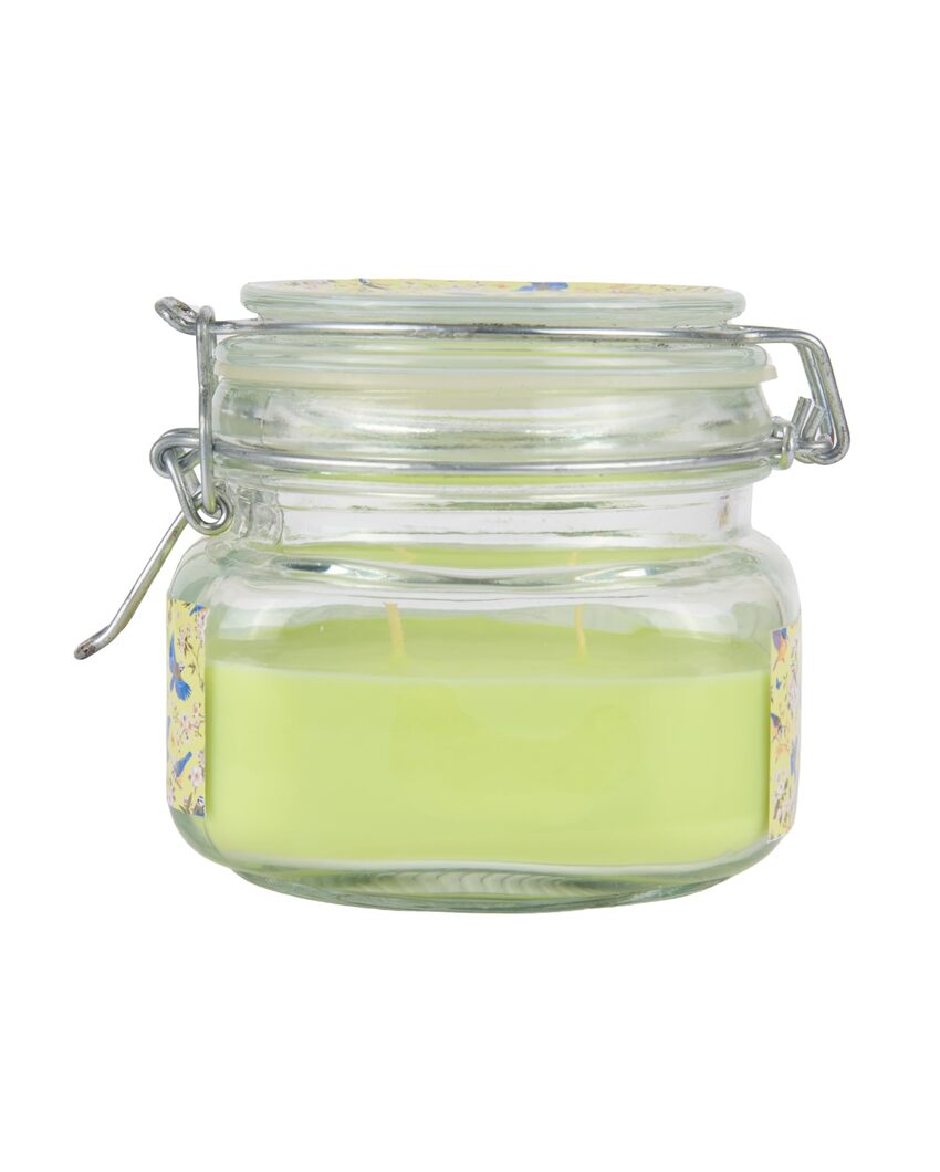 Long-Lasting Double Wick with Extended Burn Glass Jar Candles | 4 x 6 inches