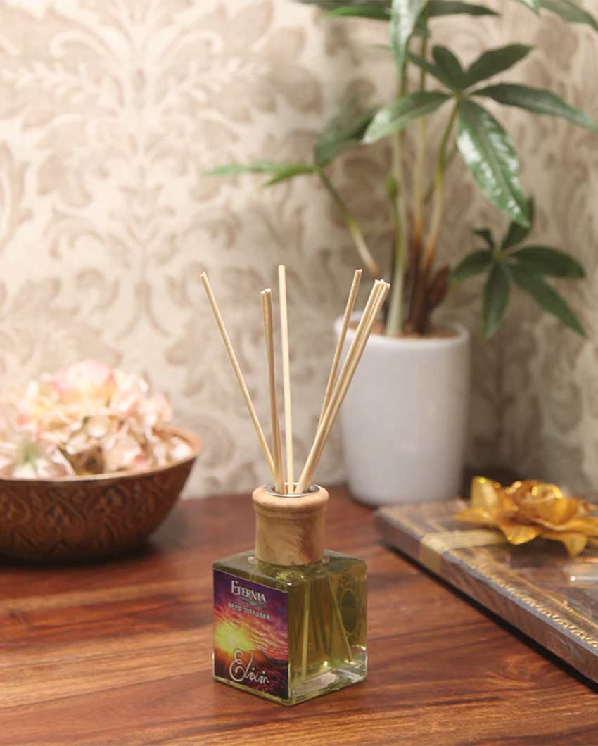 Elegant Aroma Elixir Reed Diffuser With Ten Sticks | 4 x 2 x 4 inches