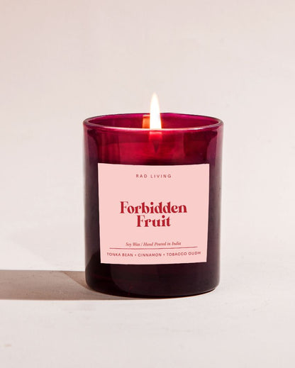 Forbidden Fruit | Tonka Bean, Cinnamon & Tobacco Oudh Scented Jar Candle | 7.62 x 7.62 cm / 3 x 3 inches