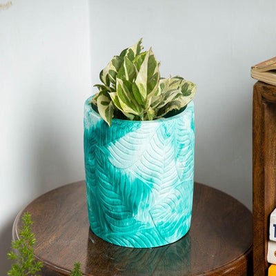 Leaf Inspired Design Frond Concrete Planter | 4 x 4 x 6 inches