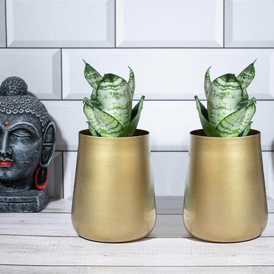 Gold Blossom Planter | Set of 2 | Plant Not Included