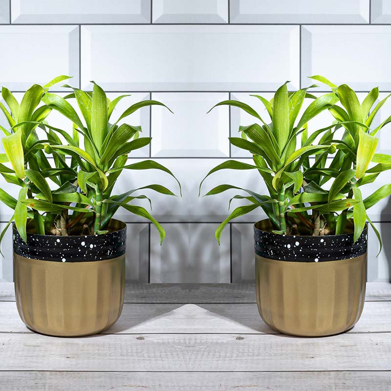 Golden Galaxy Planter | Set of 2