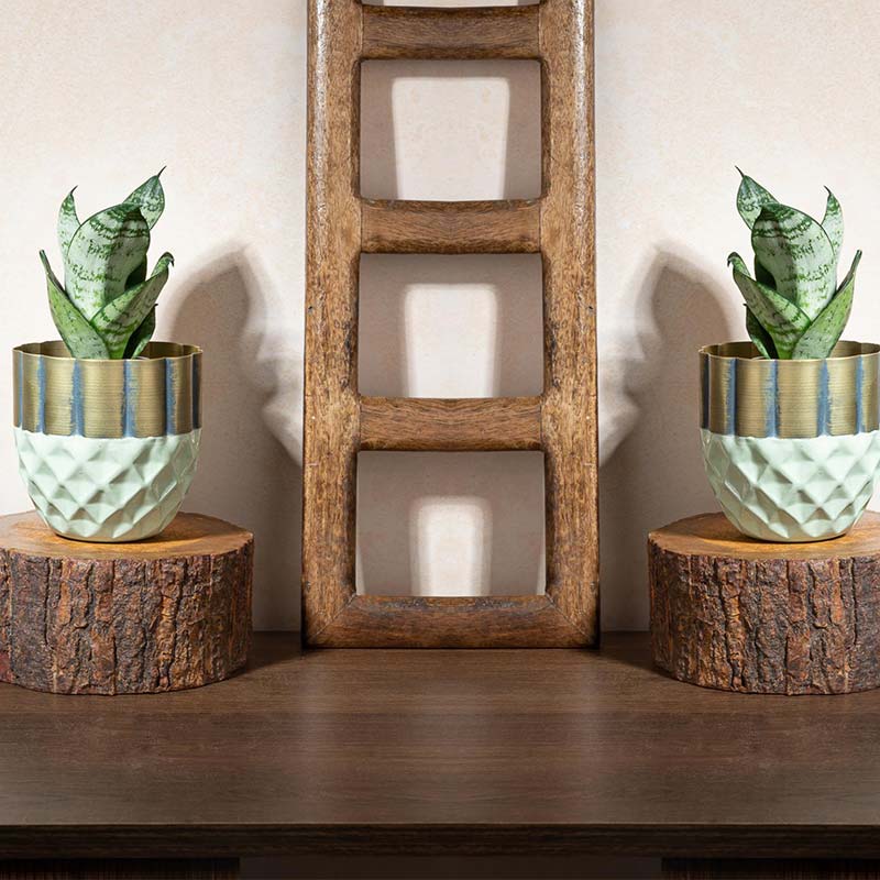 Hexagonal Harmony Planter | Set of 2