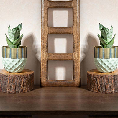 Hexagonal Harmony Planter | Set of 2