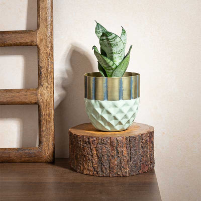 Hexagonal Harmony Metal Planter | 5 Inch